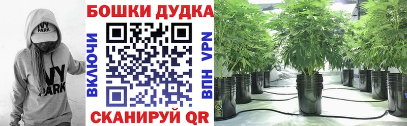 Шишки марихуана Bruce Banner  Купить  Тобольск 